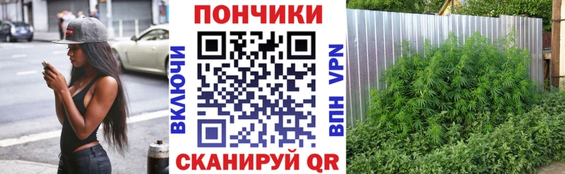 MEGA маркетплейс где купить наркоту Алупка Бошки Шишки Bruce Banner